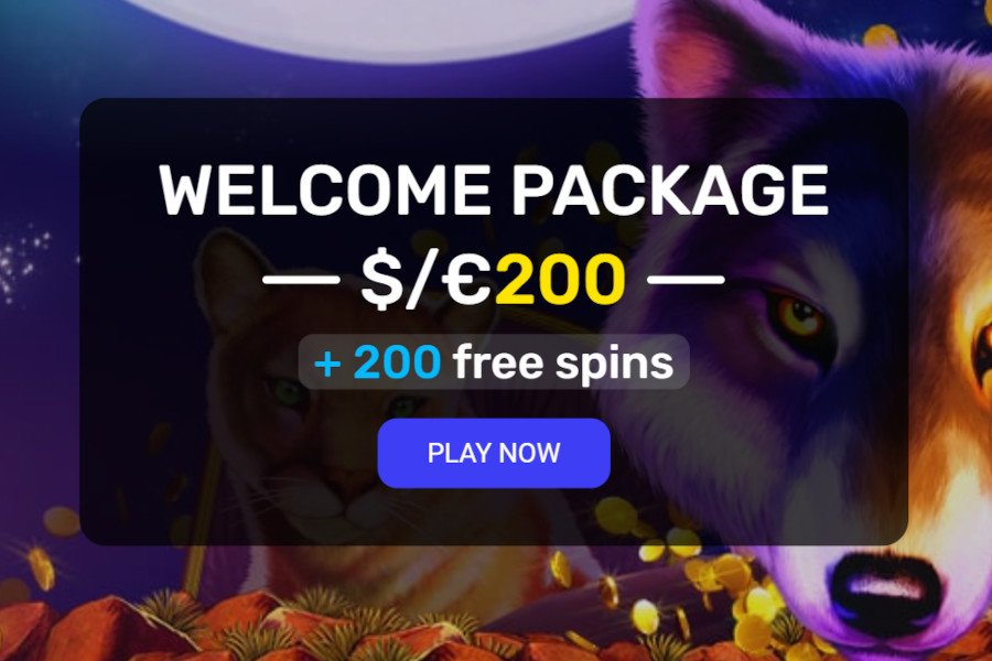 Welcome bonus in the popular online casino