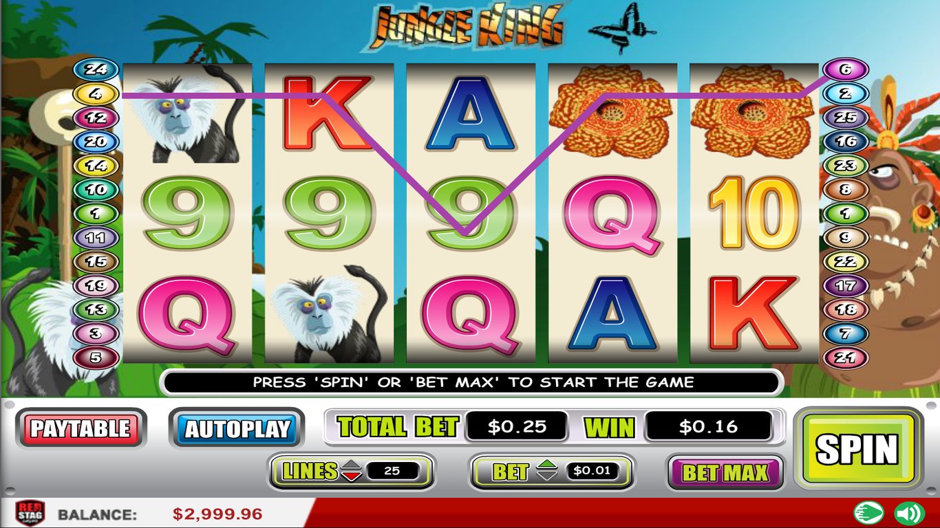 Jungle King Slot Slot Image in Demo - pic. 2