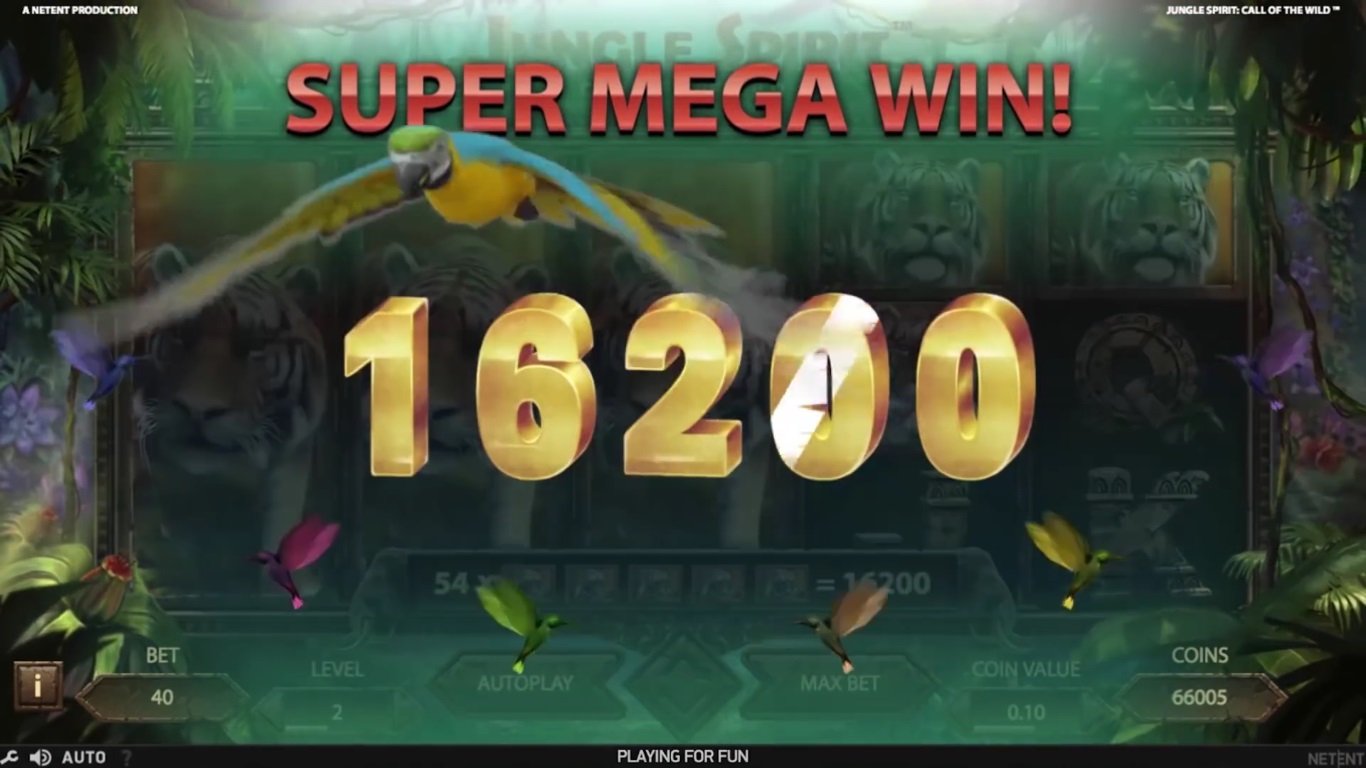 Jungle Spirit Slot Slot Image in Demo - pic. 3