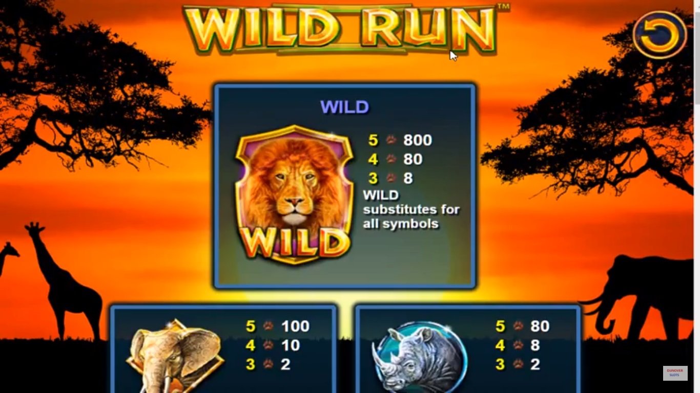 Wild Run Slot Slot Image in Demo - pic. 2