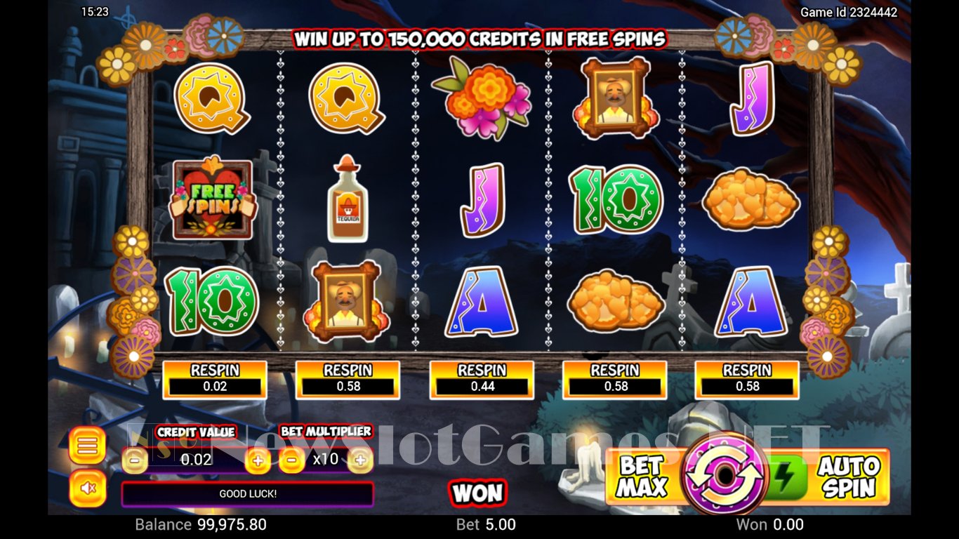 Dia De Muertos Slot Slot Image in Demo - pic. 3