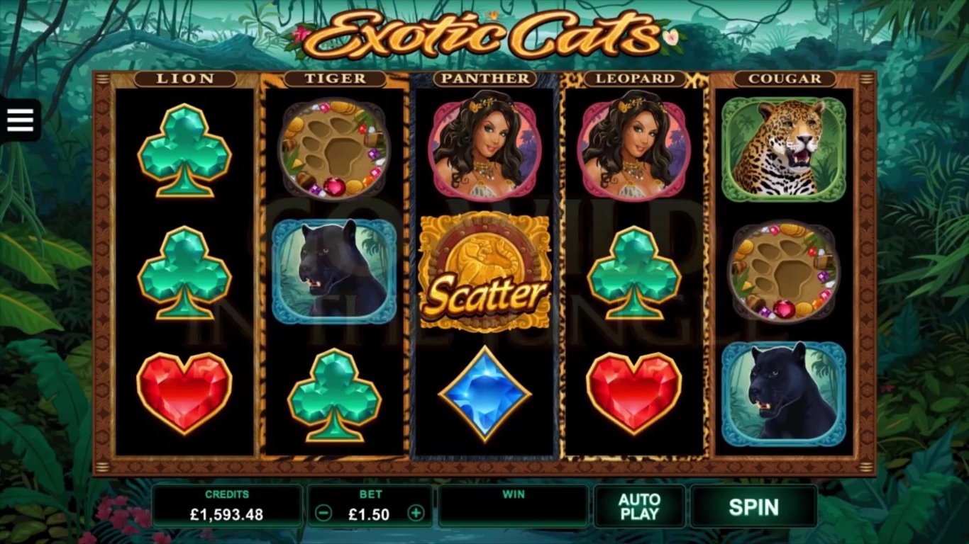 Exotic Cats Slot Demo Image
