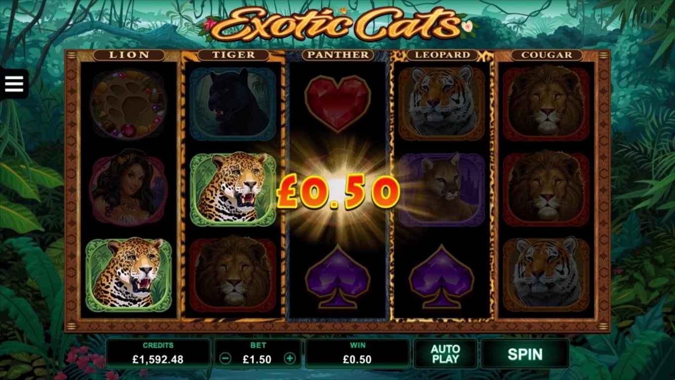 Exotic Cats Slot Slot Image in Demo - pic. 2