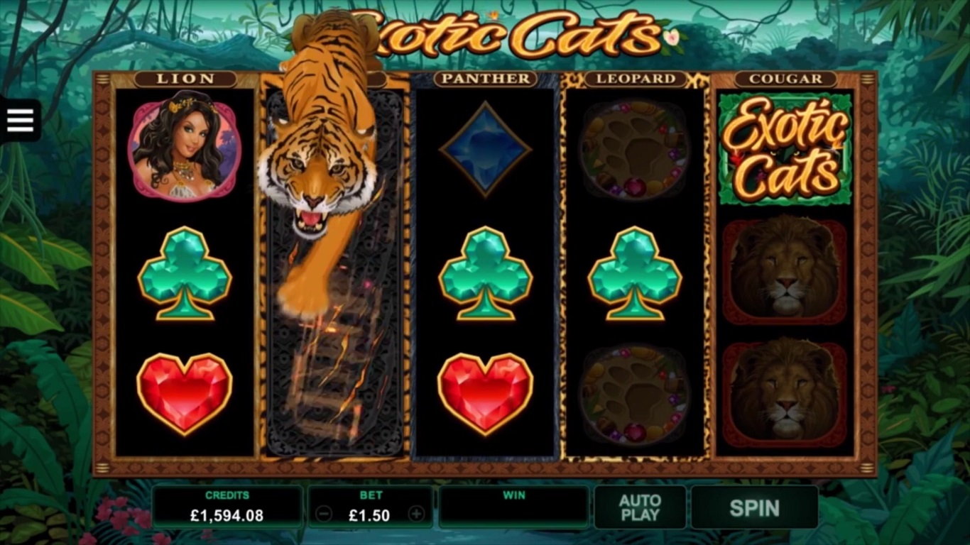 Exotic Cats Slot Slot Image in Demo - pic. 3