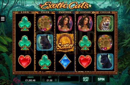 Exotic Cats Slot Icon