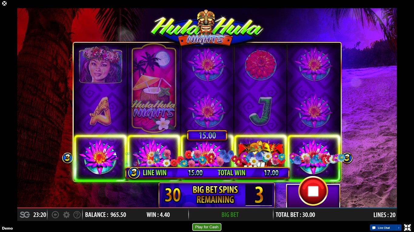 Hula Hula Nights Slot Slot Image in Demo - pic. 3