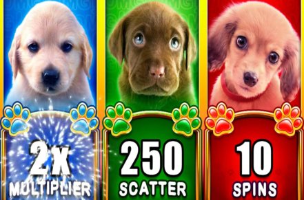 OMG Puppies Slot Logo