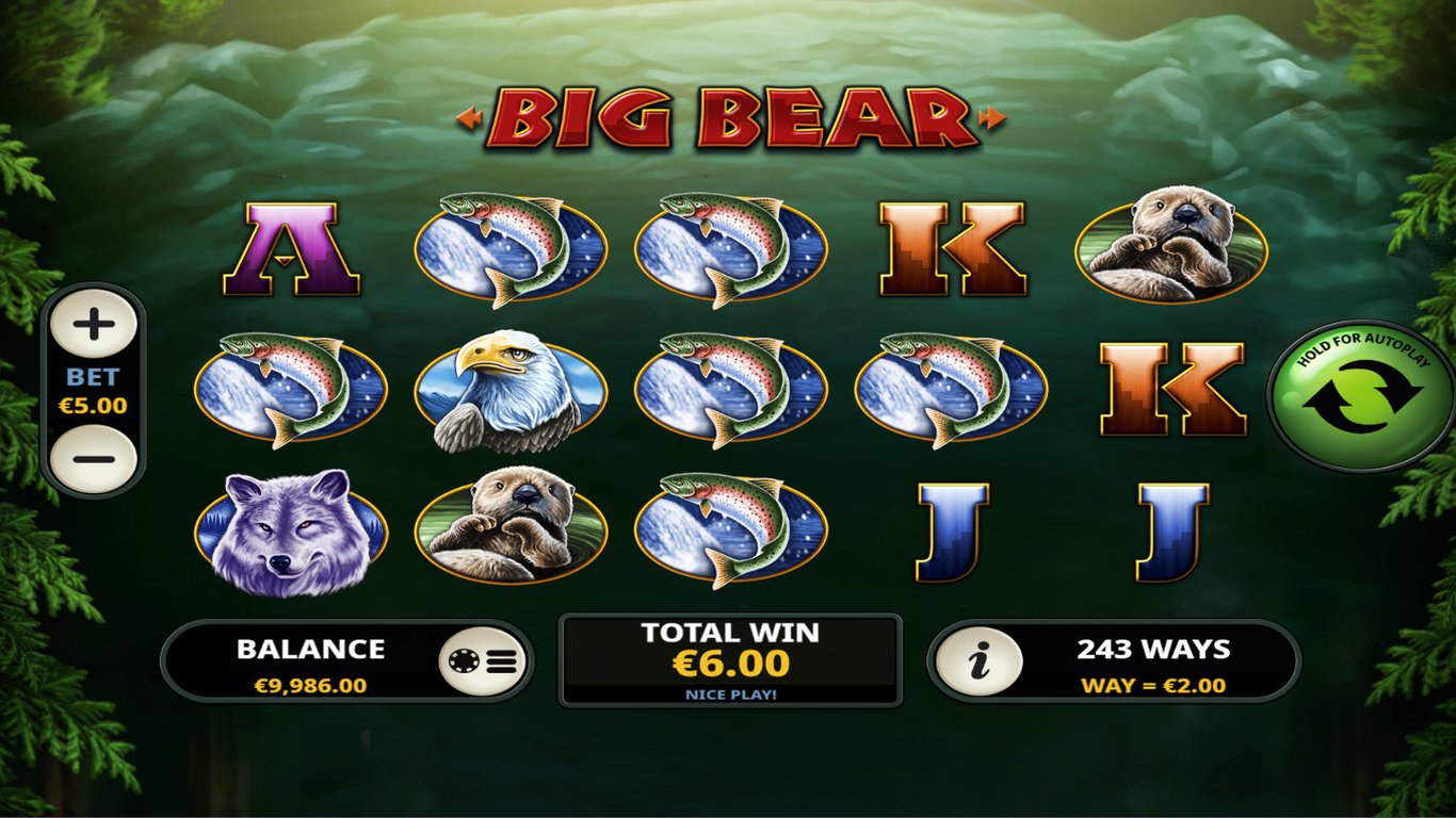 Big Bear Slot Slot Image in Demo - pic. 2