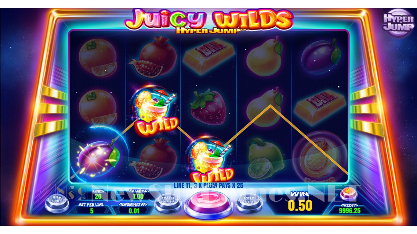 Juicy Wilds Slot Slot Image in Demo - pic. 4