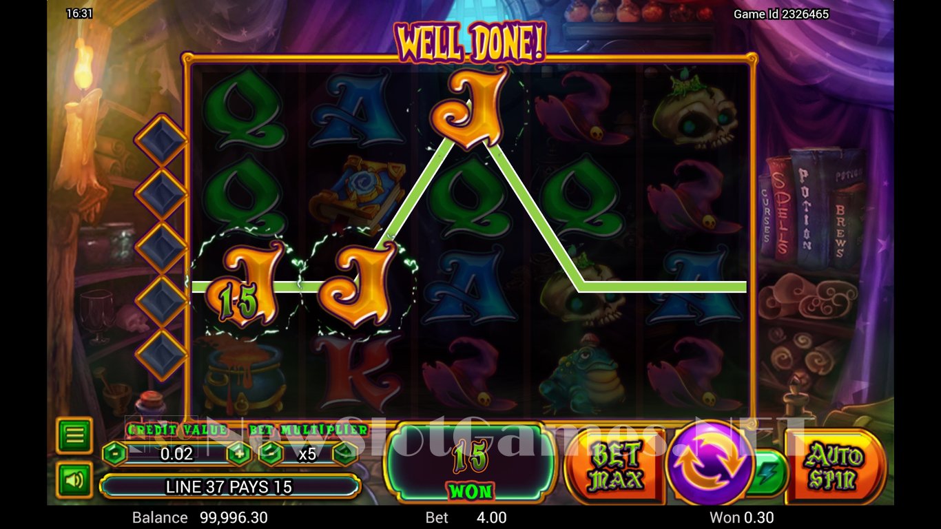 Wild Wild Witch Slot Slot Image in Demo - pic. 2