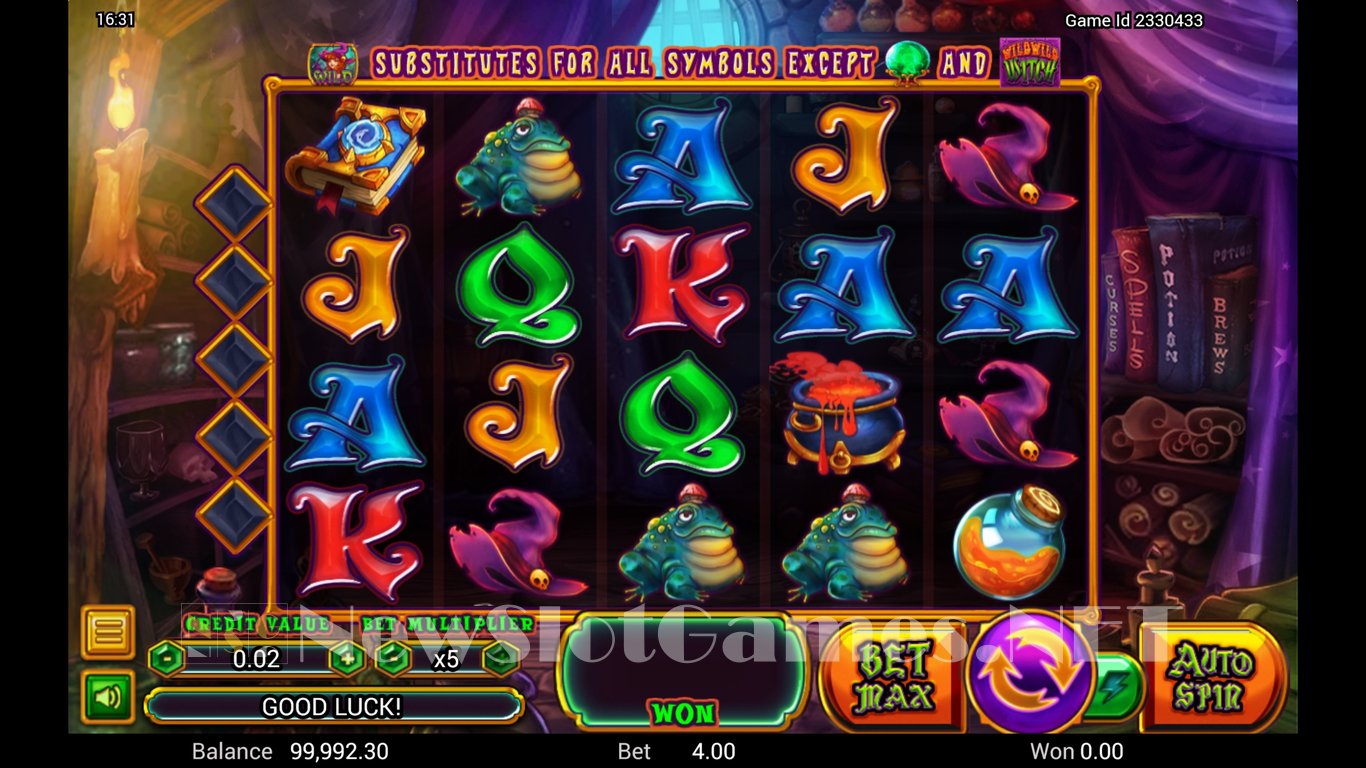 Wild Wild Witch Slot Slot Image in Demo - pic. 3