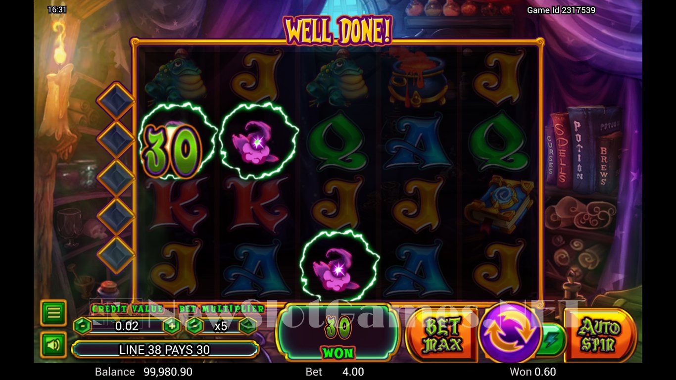 Wild Wild Witch Slot Slot Image in Demo - pic. 9