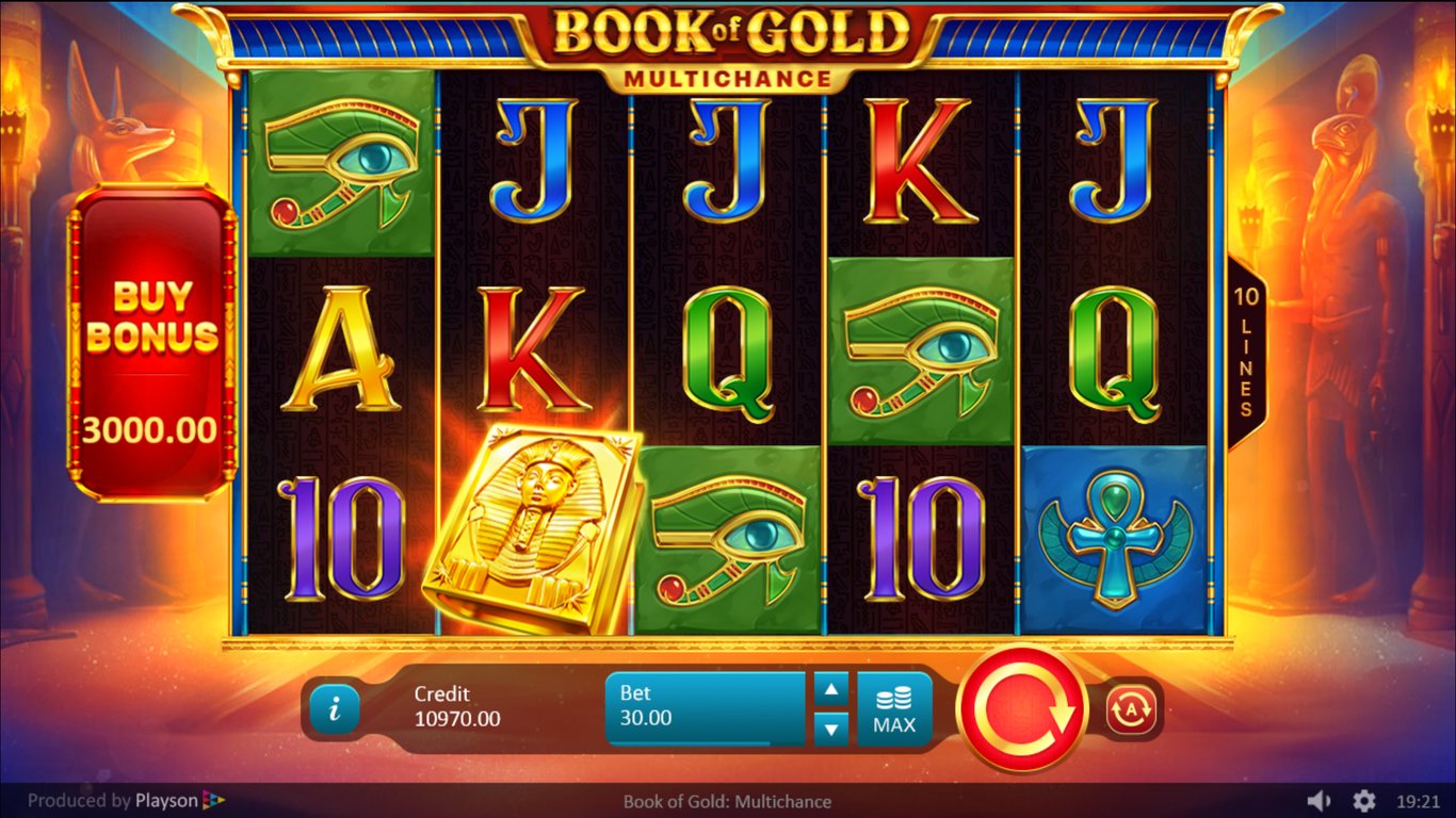 Book of Gold Multichance Slot Slot Image in Demo - pic. 2