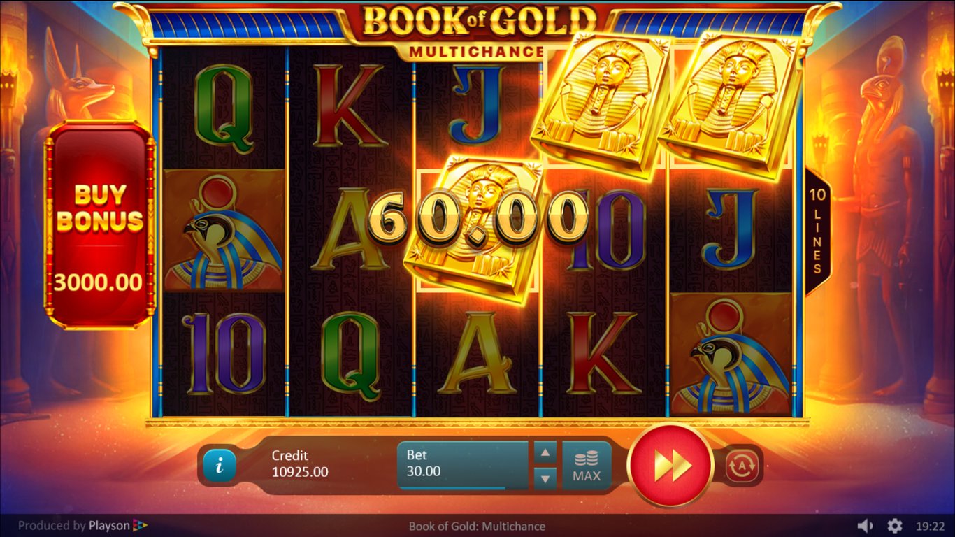 Book of Gold Multichance Slot Slot Image in Demo - pic. 3