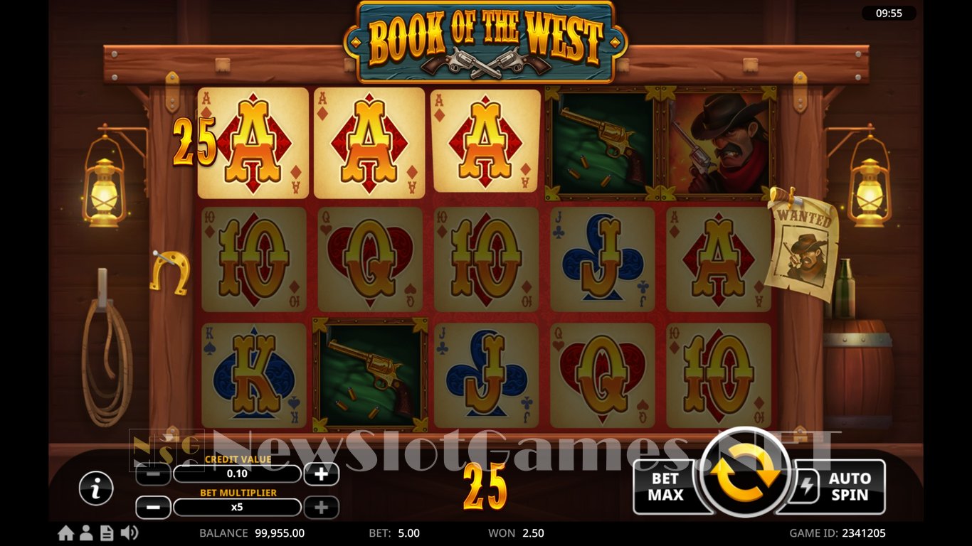 Book Of The West Slot Slot Image in Demo - pic. 9