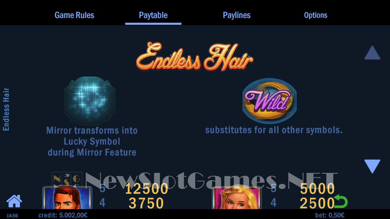 Endless Hair Slot Slot Image in Demo - pic. 4