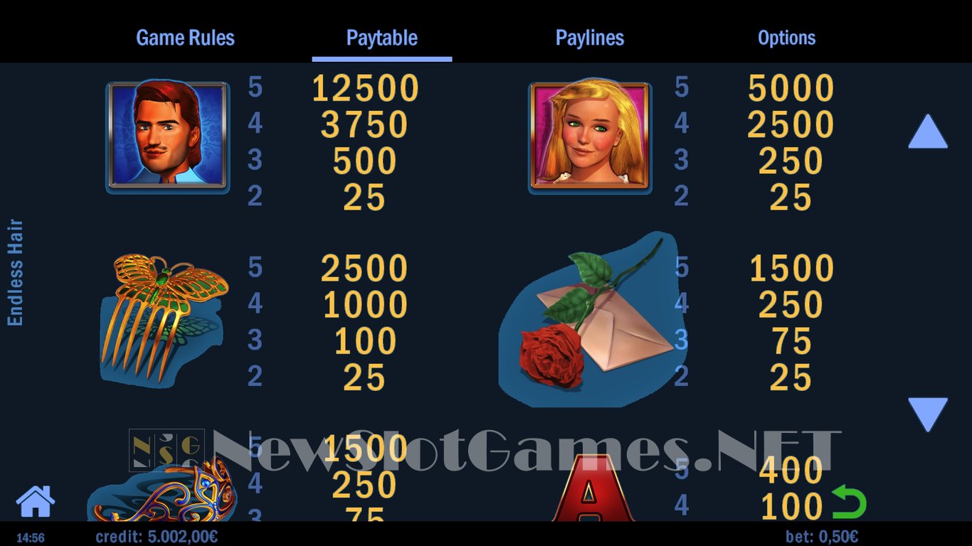 Endless Hair Slot Slot Image in Demo - pic. 5