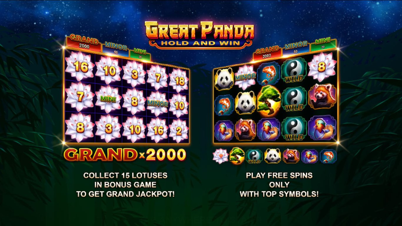 Great Panda: Hold and Win Slot Demo Image