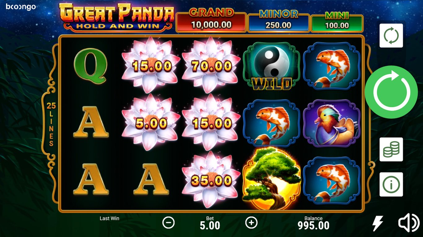Great Panda: Hold and Win Slot Slot Image in Demo - pic. 2