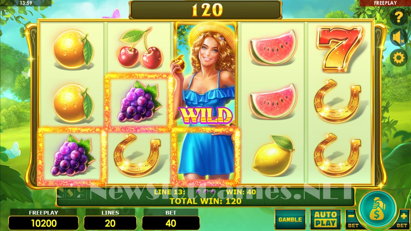 Lady Fruits 20 Slot Demo Image