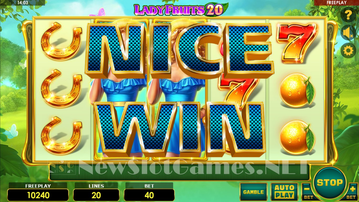 Lady Fruits 20 Slot Slot Image in Demo - pic. 3