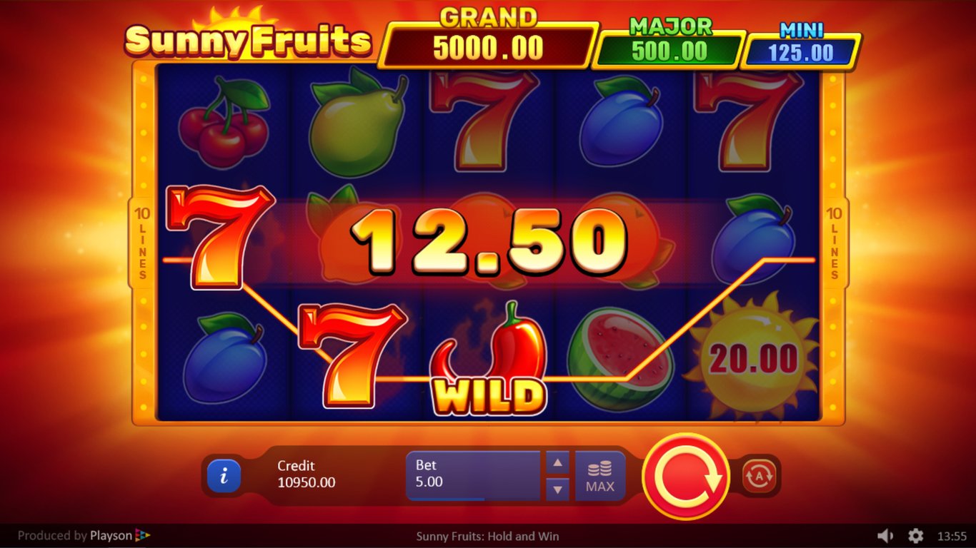 Sunny Fruits Slot Slot Image in Demo - pic. 3