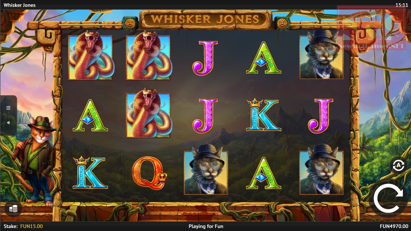 Whisker Jones Slot Slot Image in Demo - pic. 2