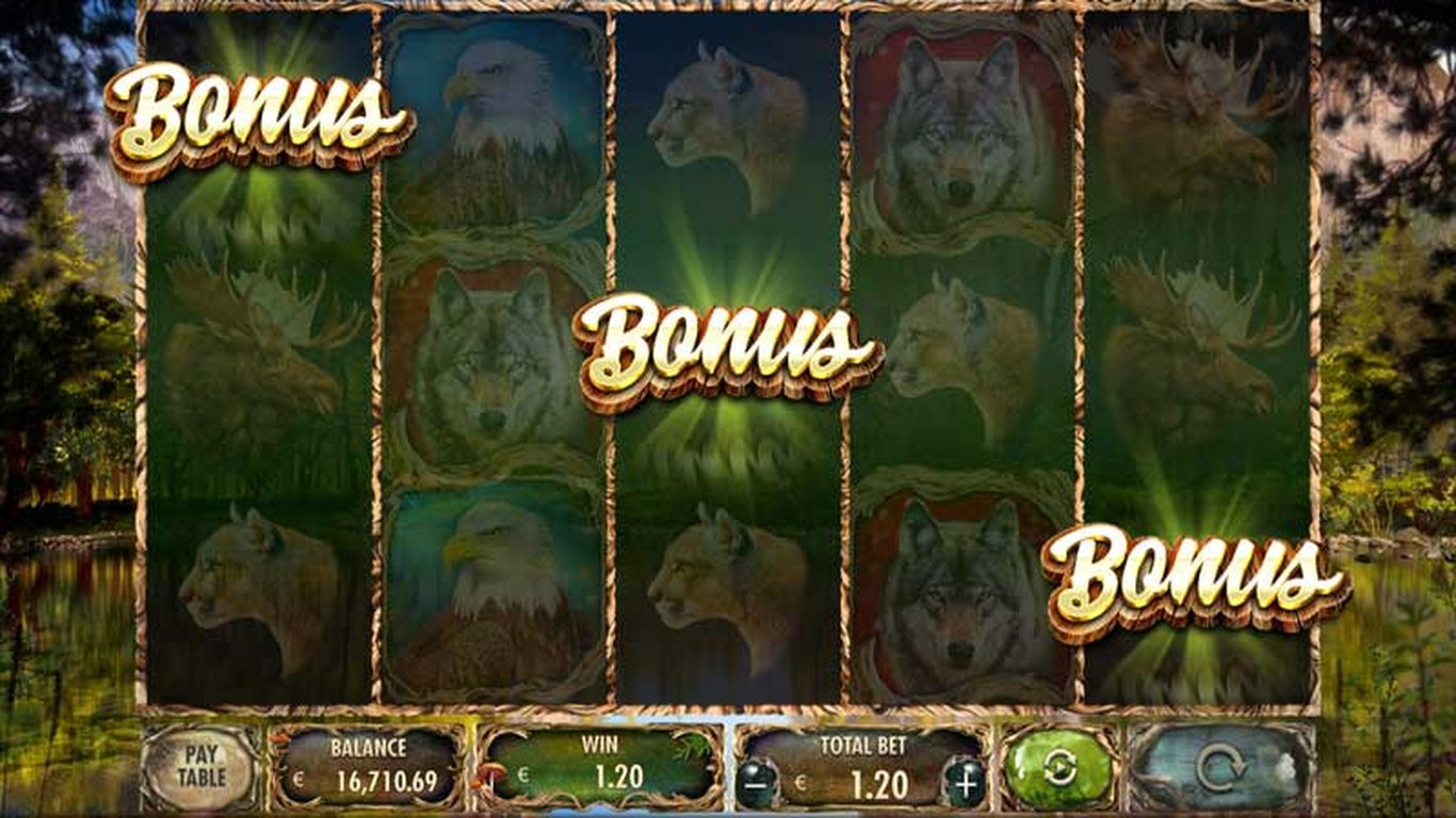 Wild Animals Slot Slot Image in Demo - pic. 3