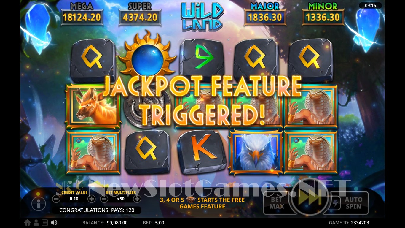 Wild Land Slot Slot Image in Demo - pic. 11