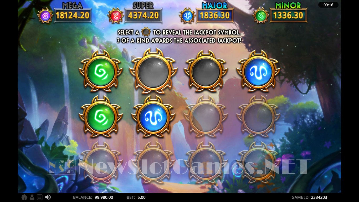 Wild Land Slot Slot Image in Demo - pic. 13