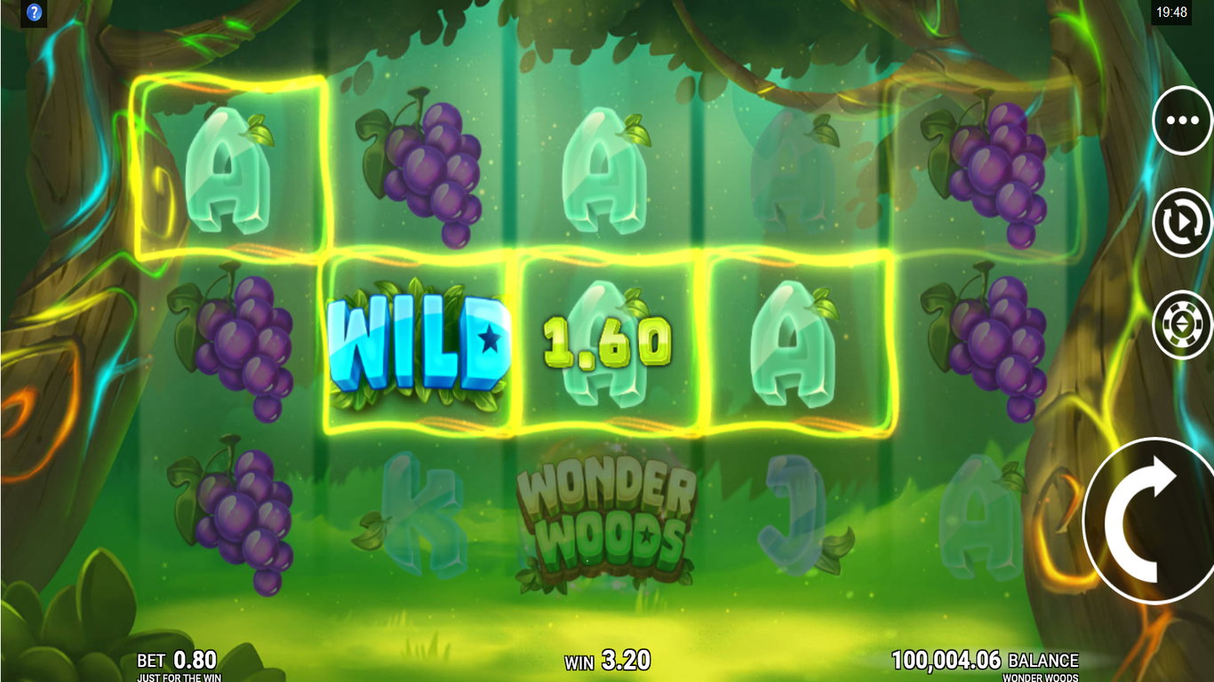 Wonder Woods Slot Slot Image in Demo - pic. 3