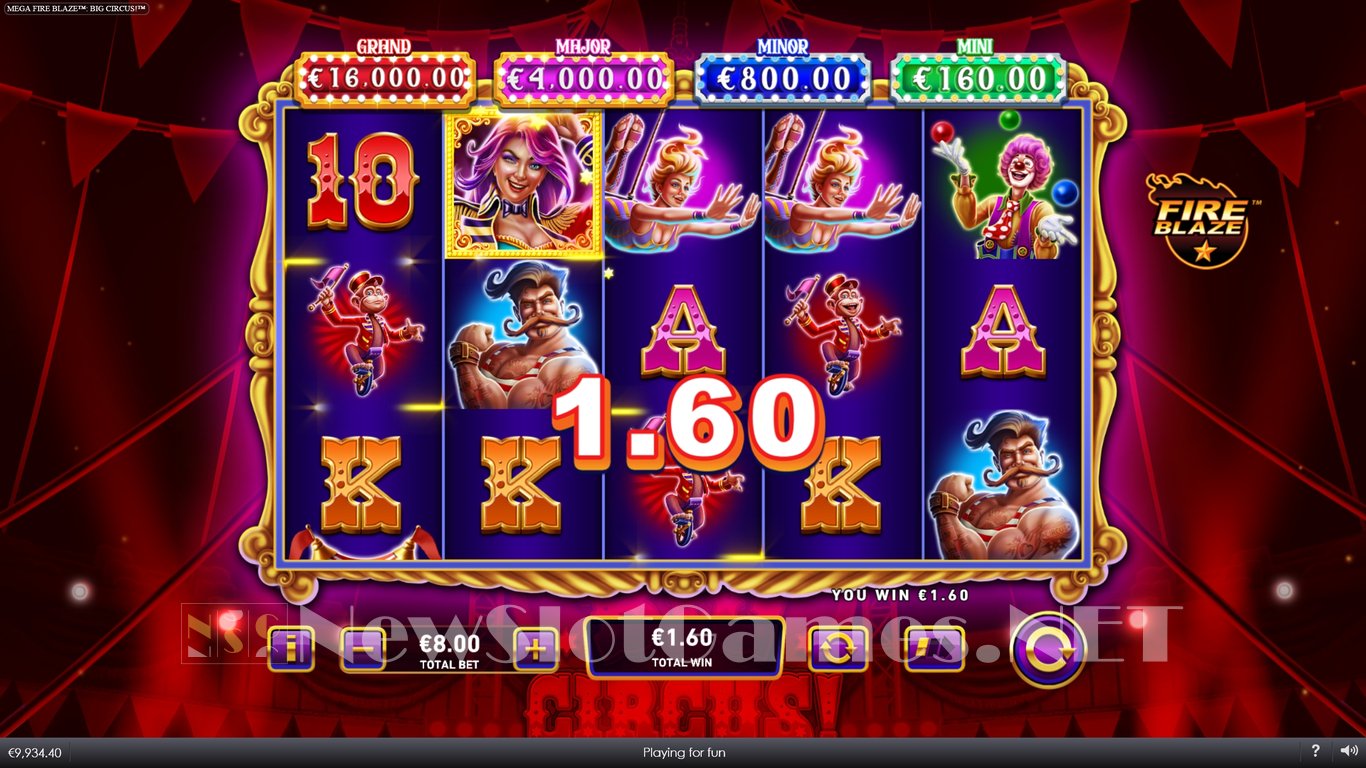 Mega Fire Blaze Big Circus Slot Slot Image in Demo - pic. 8