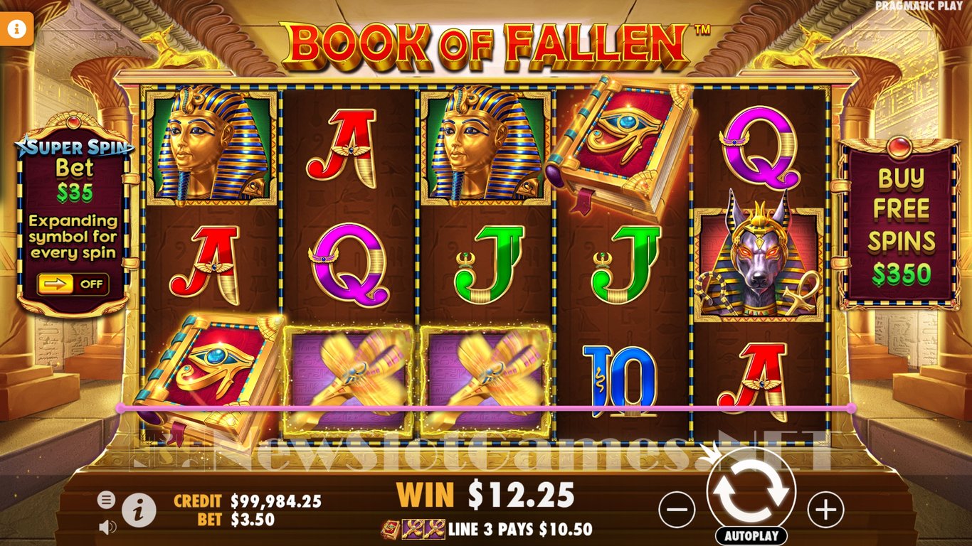 Book of Fallen Slot Slot Image in Demo - pic. 3