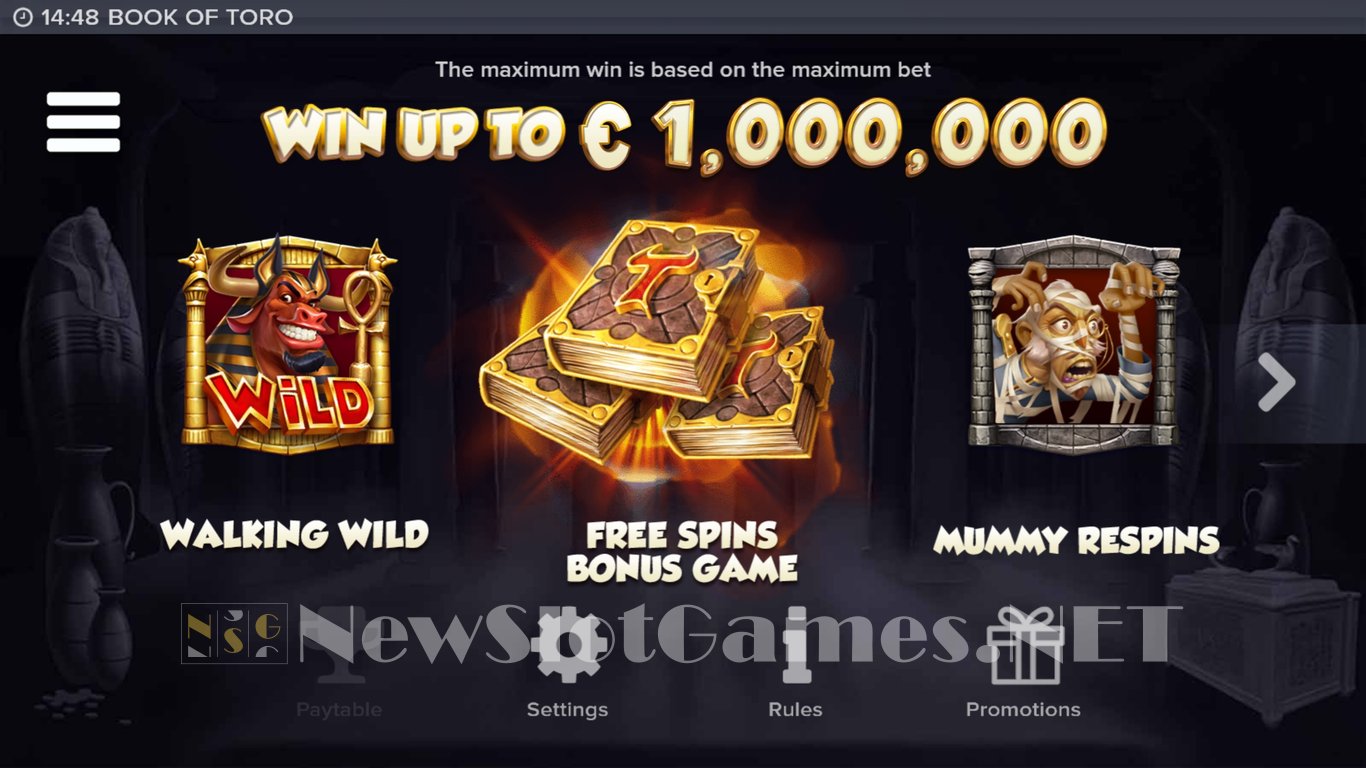 Book of Toro Slot Slot Image in Demo - pic. 3