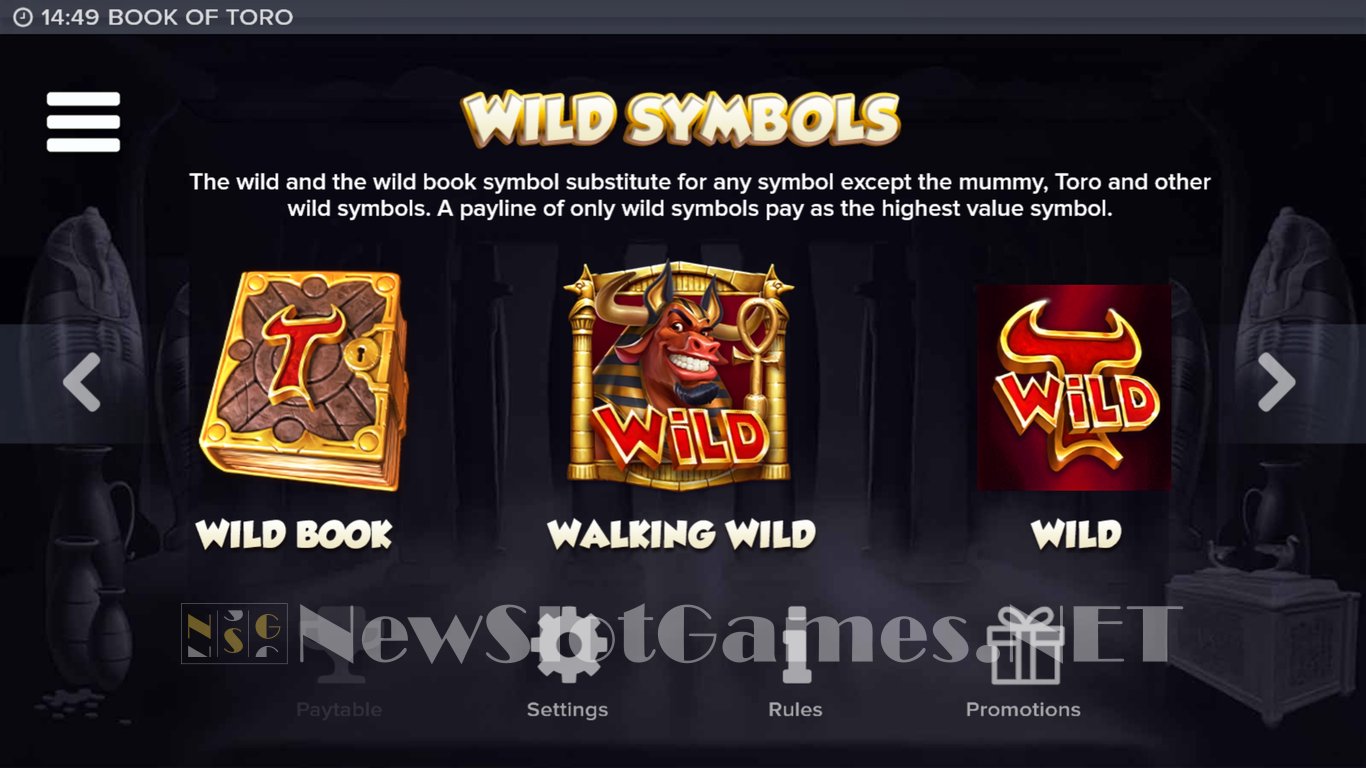 Book of Toro Slot Slot Image in Demo - pic. 4