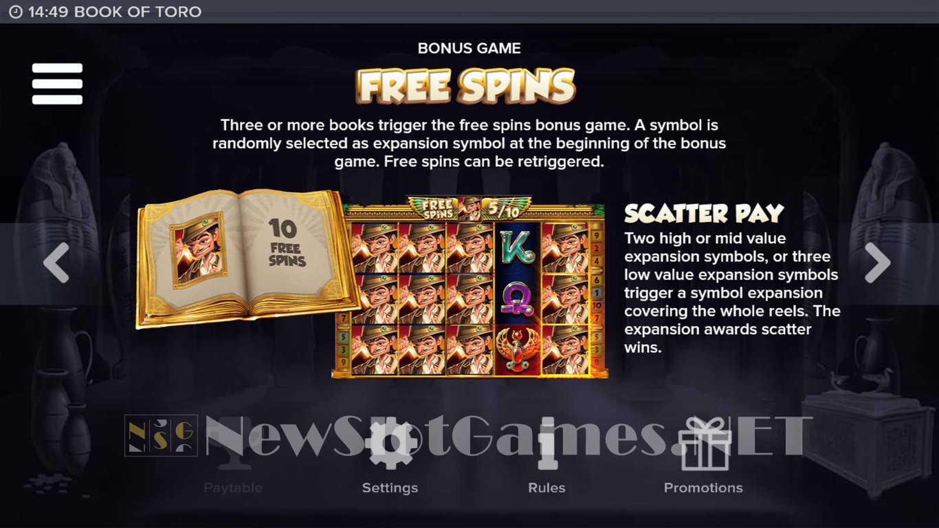 Book of Toro Slot Slot Image in Demo - pic. 5