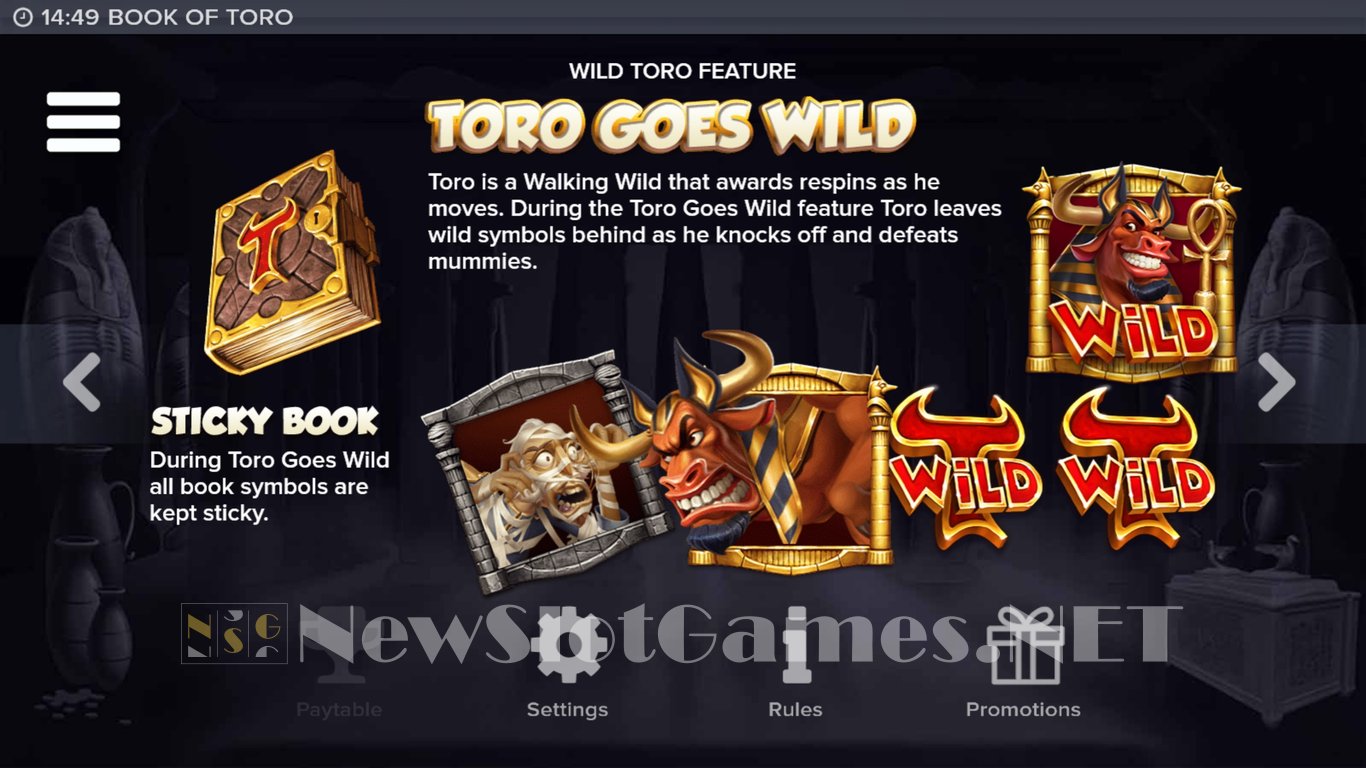 Book of Toro Slot Slot Image in Demo - pic. 6