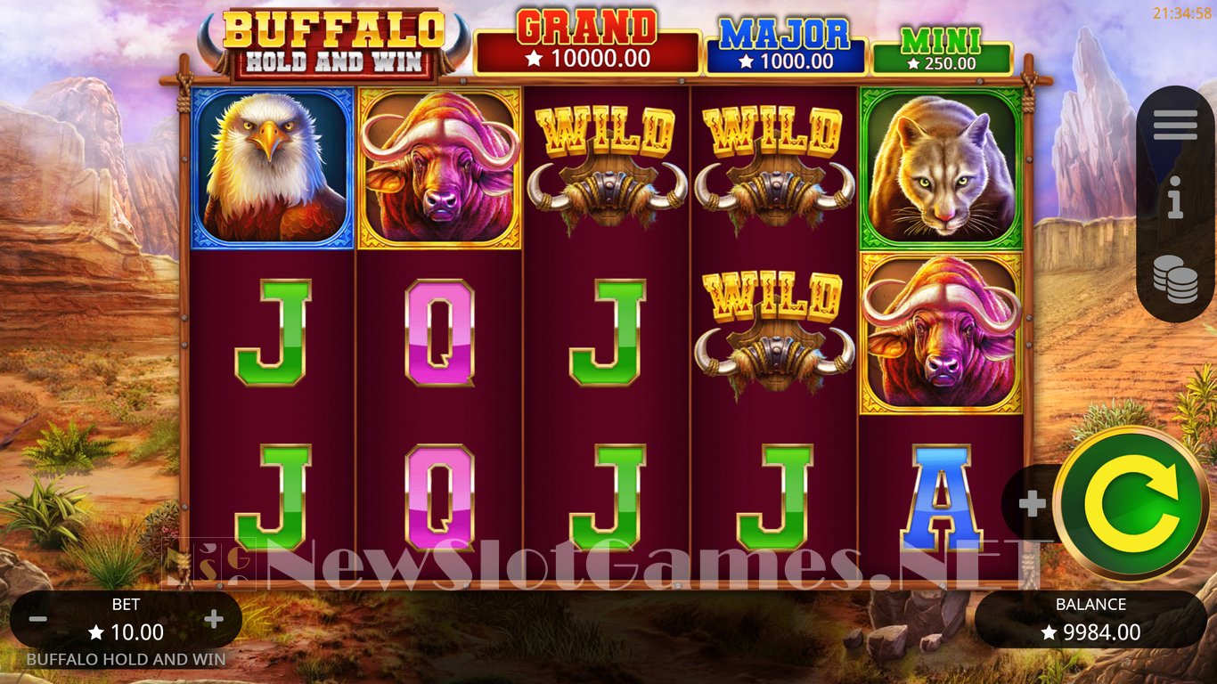 Buffalo Hold and Win Slot Slot Image in Demo - pic. 2