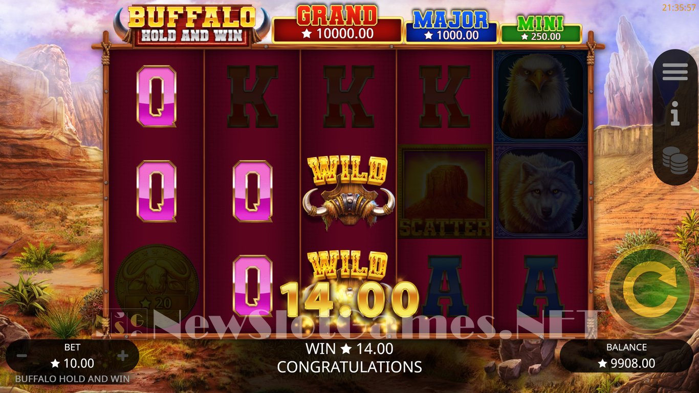Buffalo Hold and Win Slot Slot Image in Demo - pic. 3
