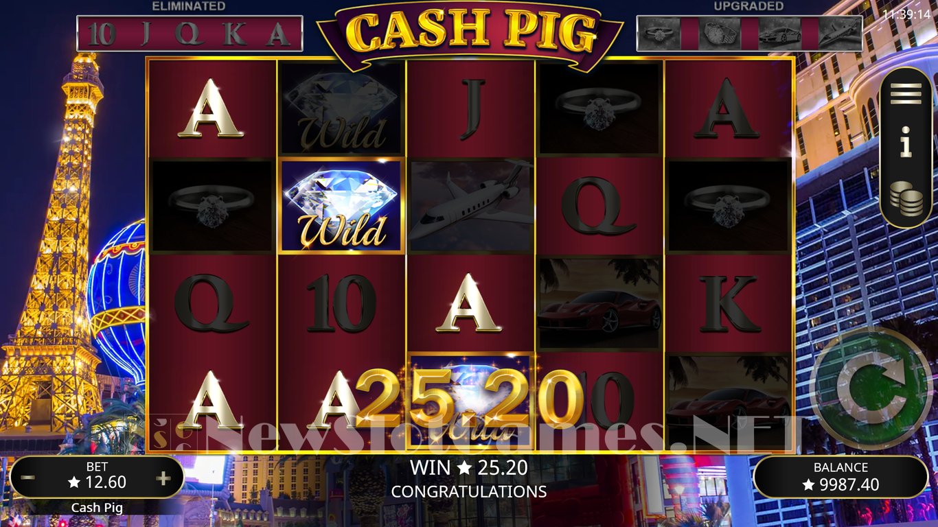 Cash Pig Slot Slot Image in Demo - pic. 2