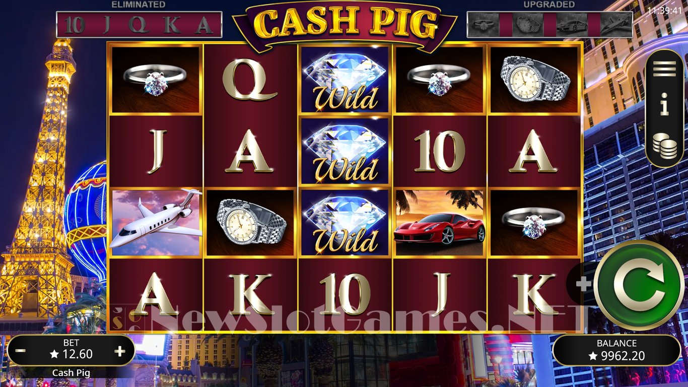 Cash Pig Slot Slot Image in Demo - pic. 3