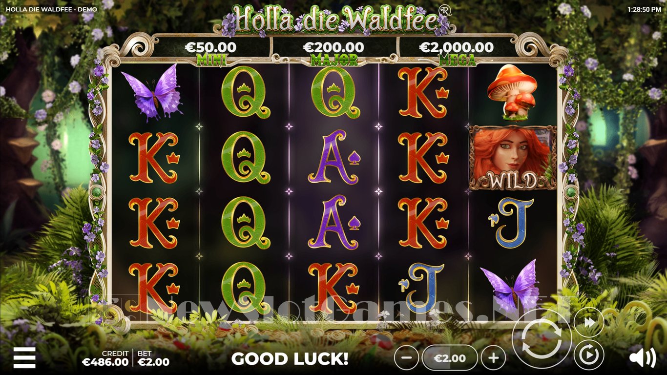 Holla die Waldfee Slot Slot Image in Demo - pic. 7