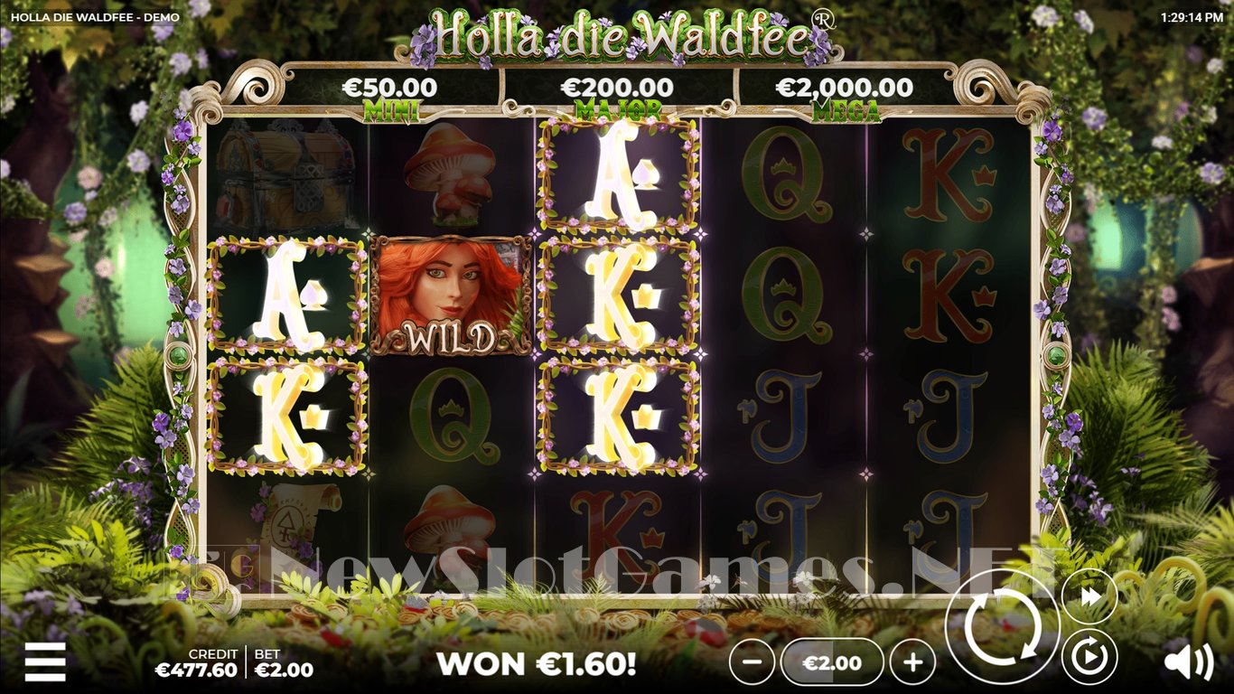 Holla die Waldfee Slot Slot Image in Demo - pic. 9