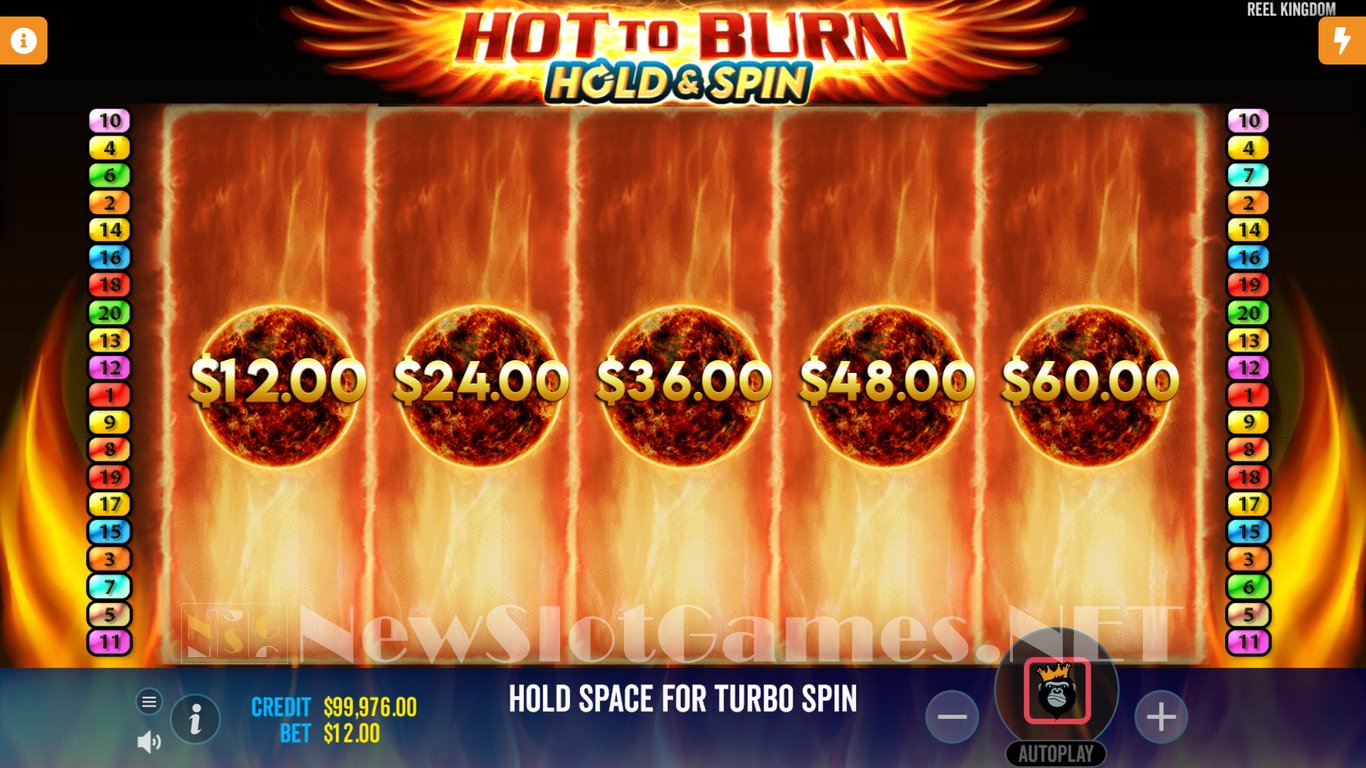 Hot to Burn: Hold and Spin Slot Slot Image in Demo - pic. 2
