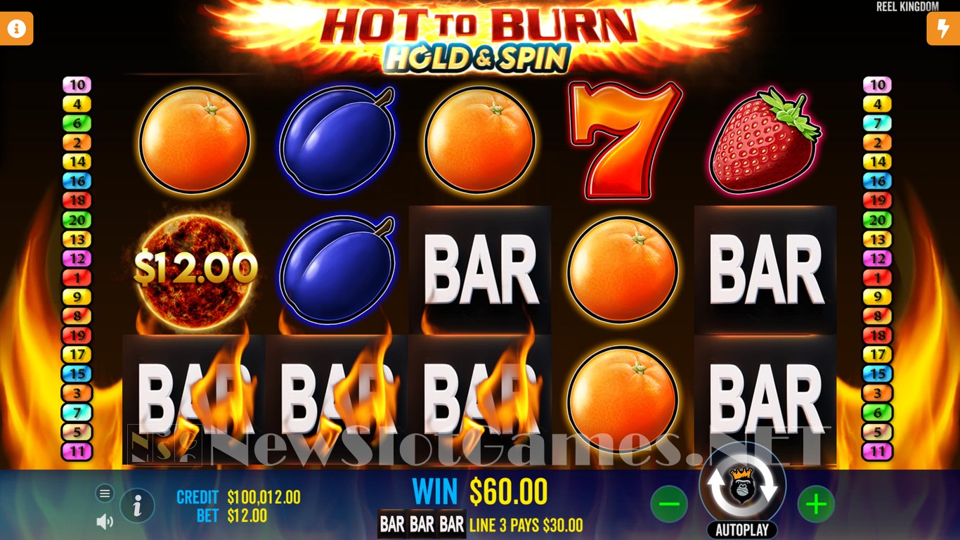 Hot to Burn: Hold and Spin Slot Slot Image in Demo - pic. 3
