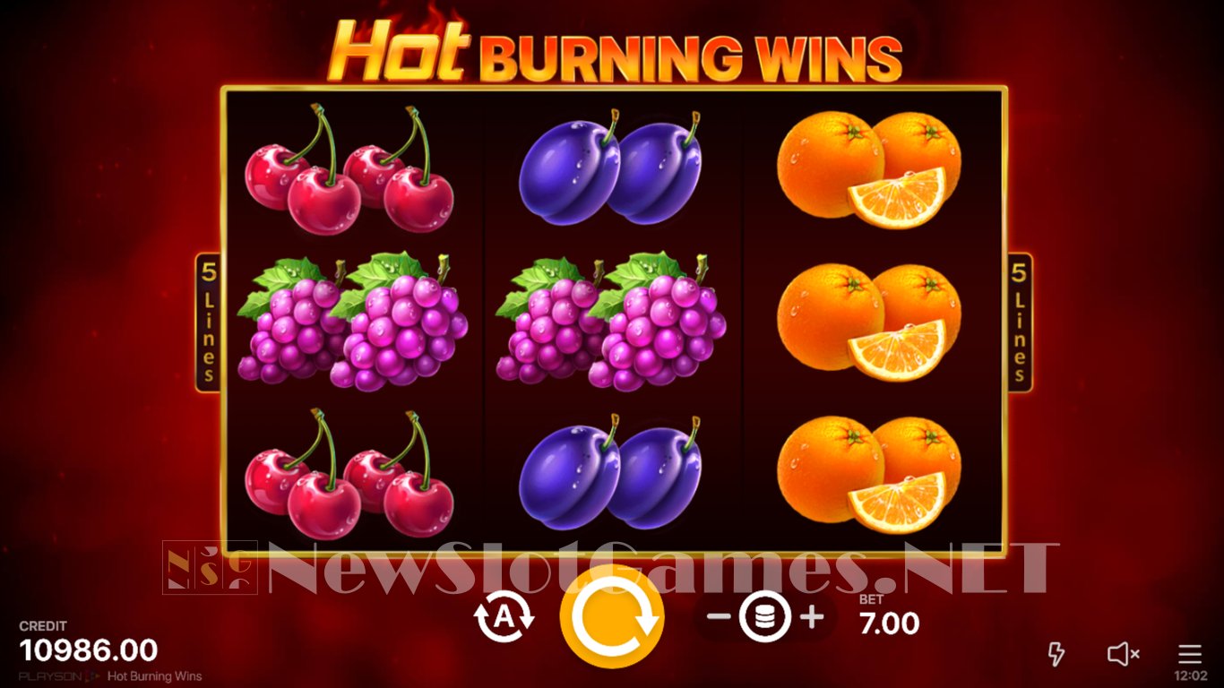 Hot Burning Wins Slot Slot Image in Demo - pic. 2