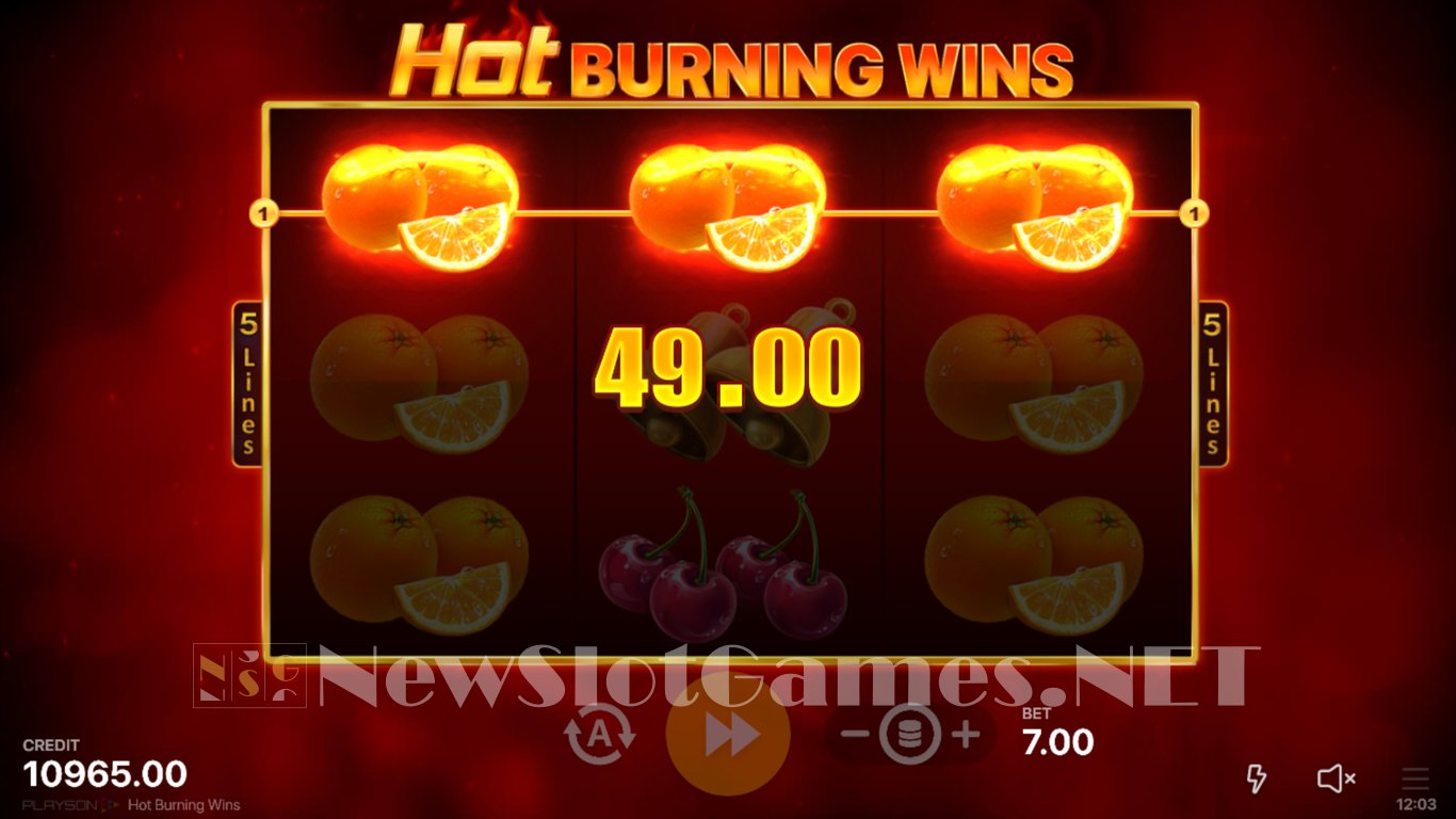 Hot Burning Wins Slot Slot Image in Demo - pic. 4