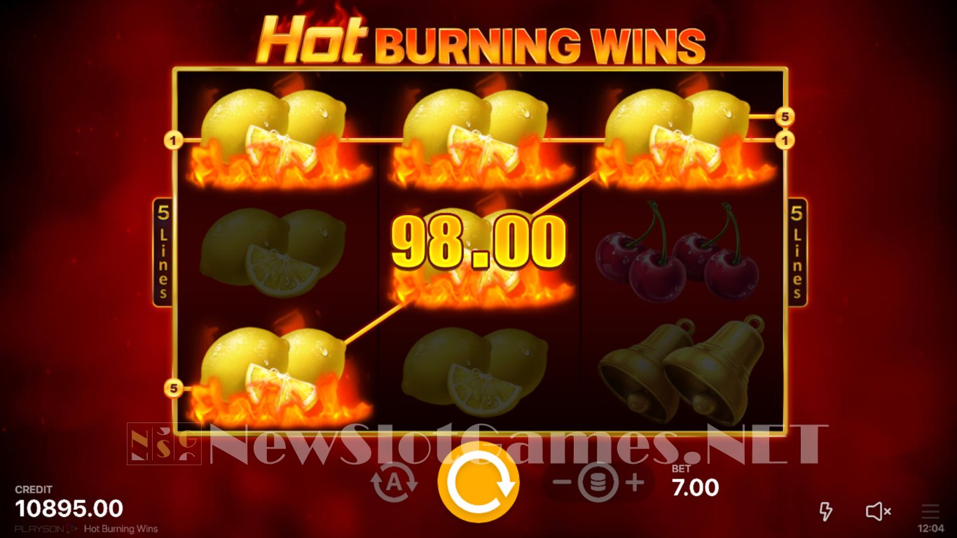 Hot Burning Wins Slot Slot Image in Demo - pic. 6