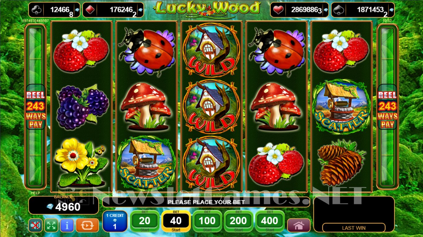 Lucky Wood Slot Slot Image in Demo - pic. 2