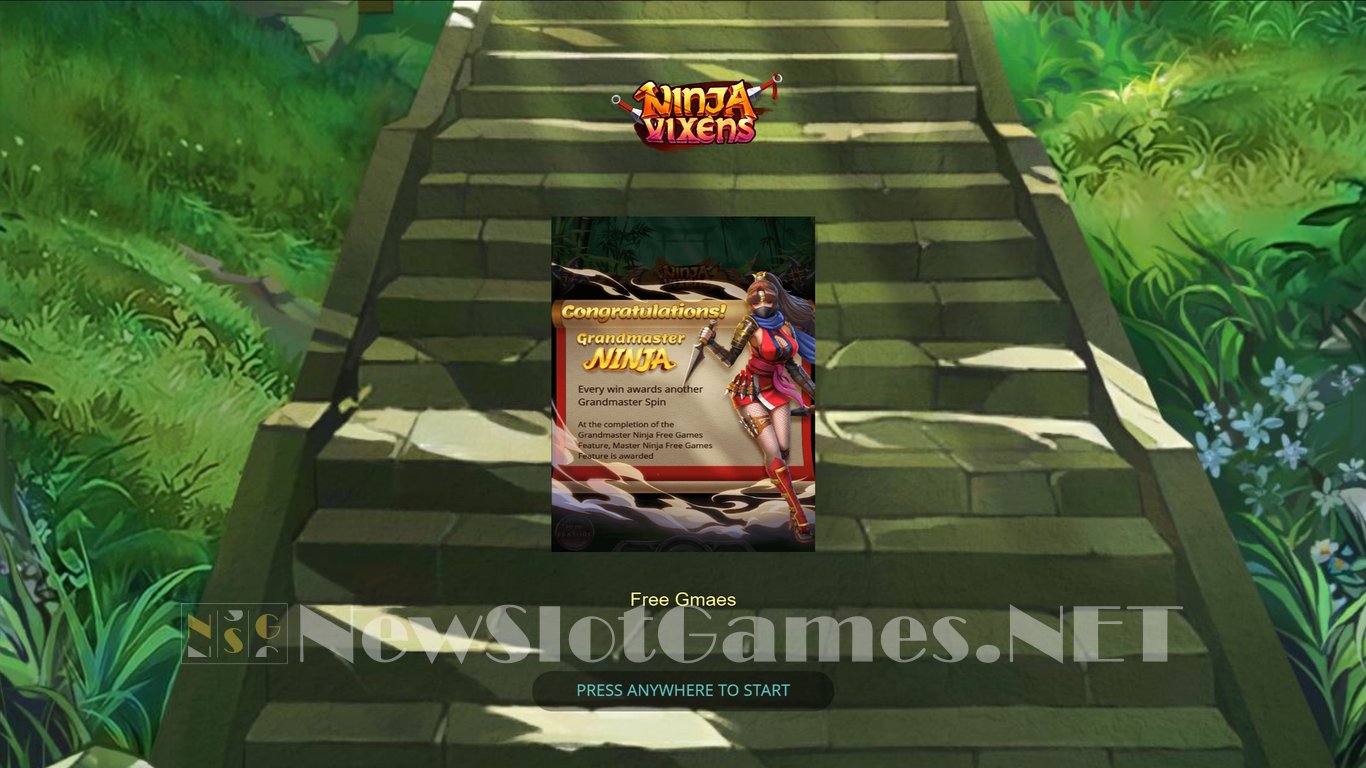 Ninja Vixens Slot Demo Image